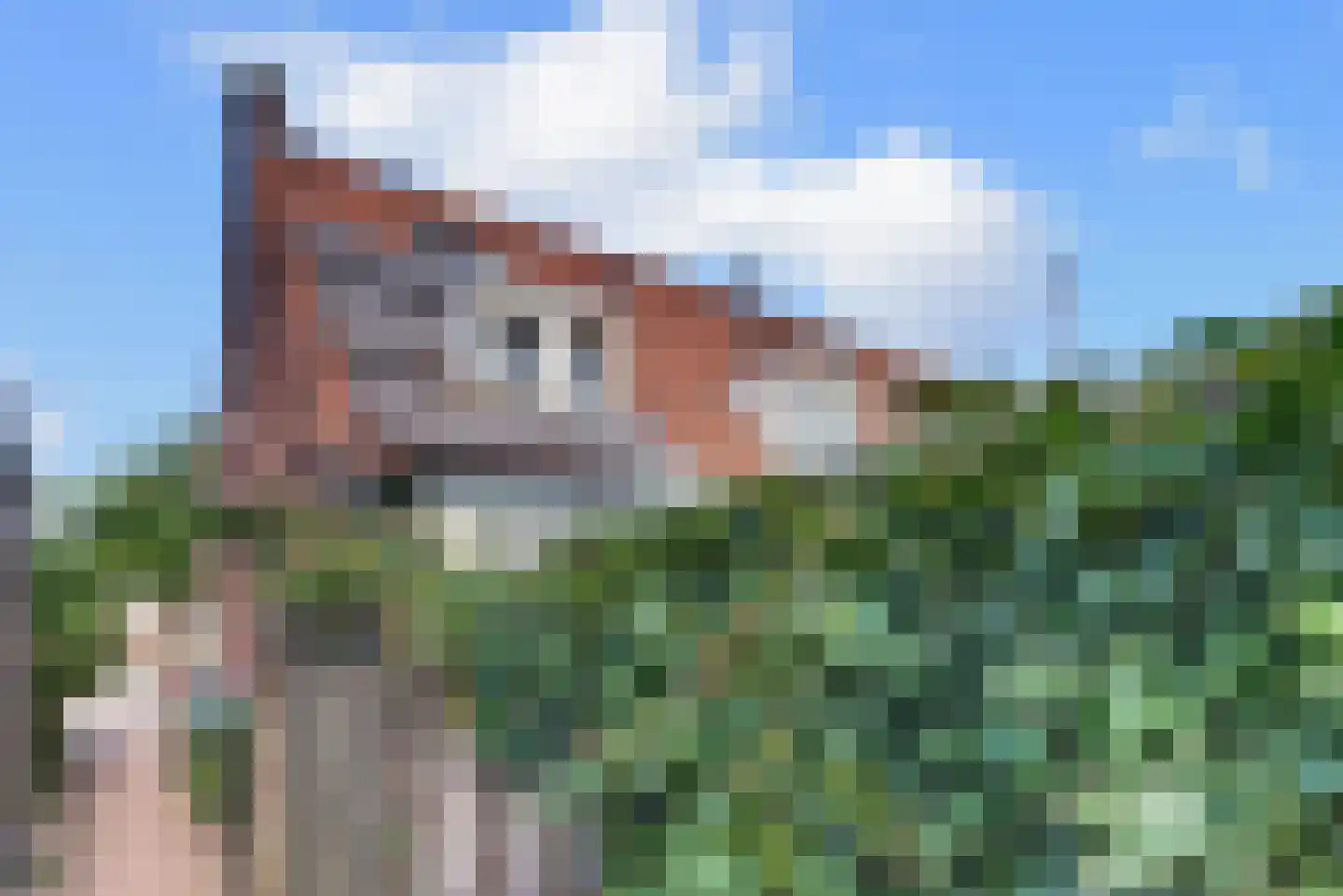 Laan 1940 - 1945 6 Harderwijk thumbnail 53
