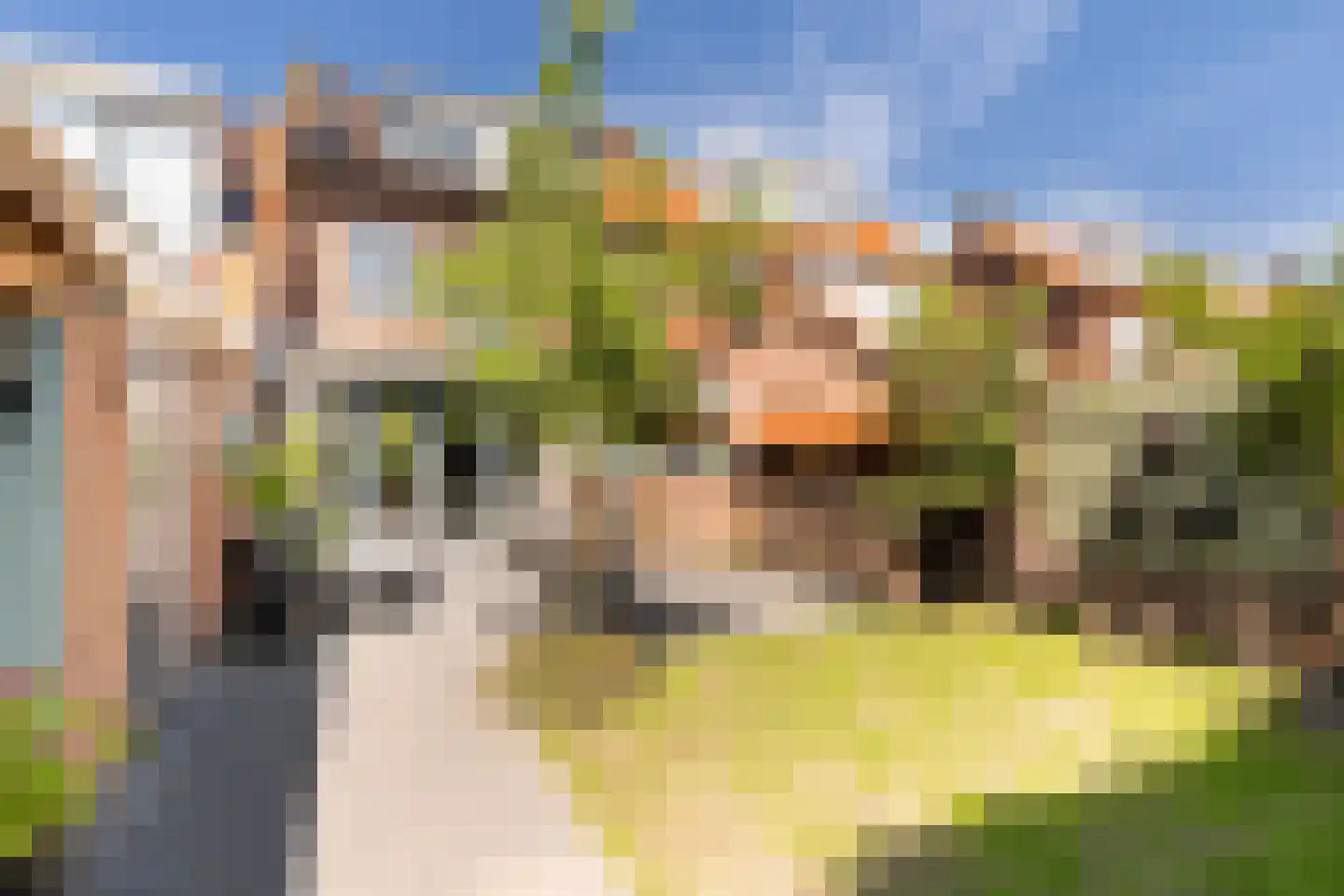 Laan 1940-1945 6 Woudenberg thumbnail 51
