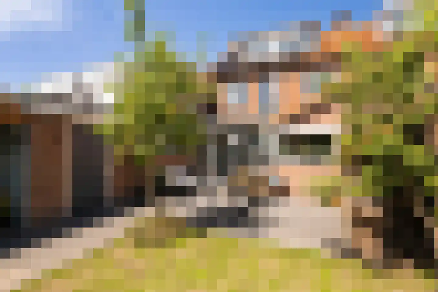 Laan 1940-1945 6 Woudenberg thumbnail 52