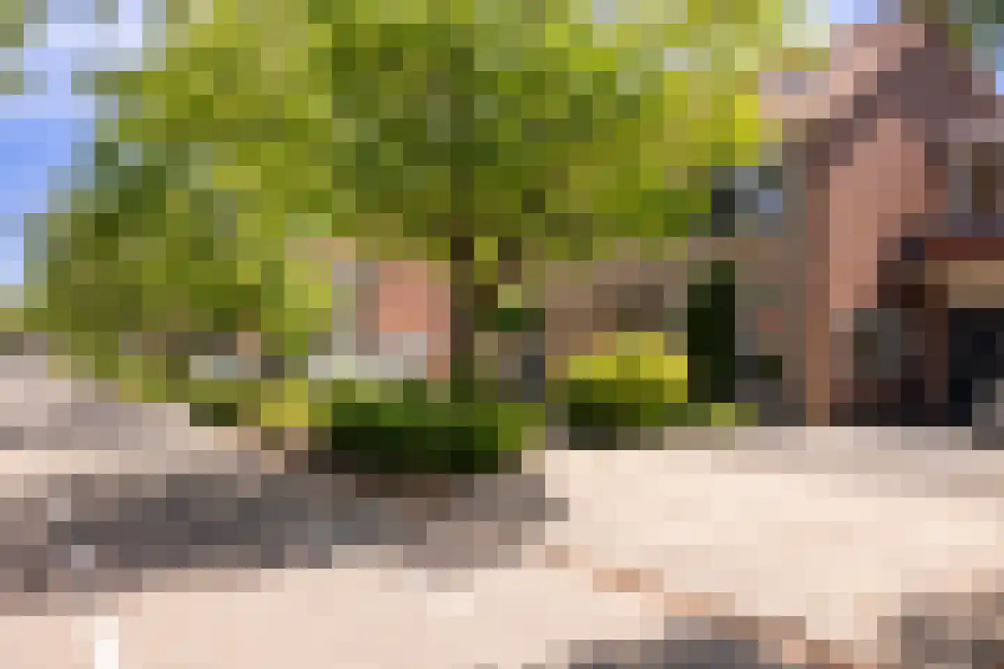 Laan 1940-1945 6 Woudenberg thumbnail 55