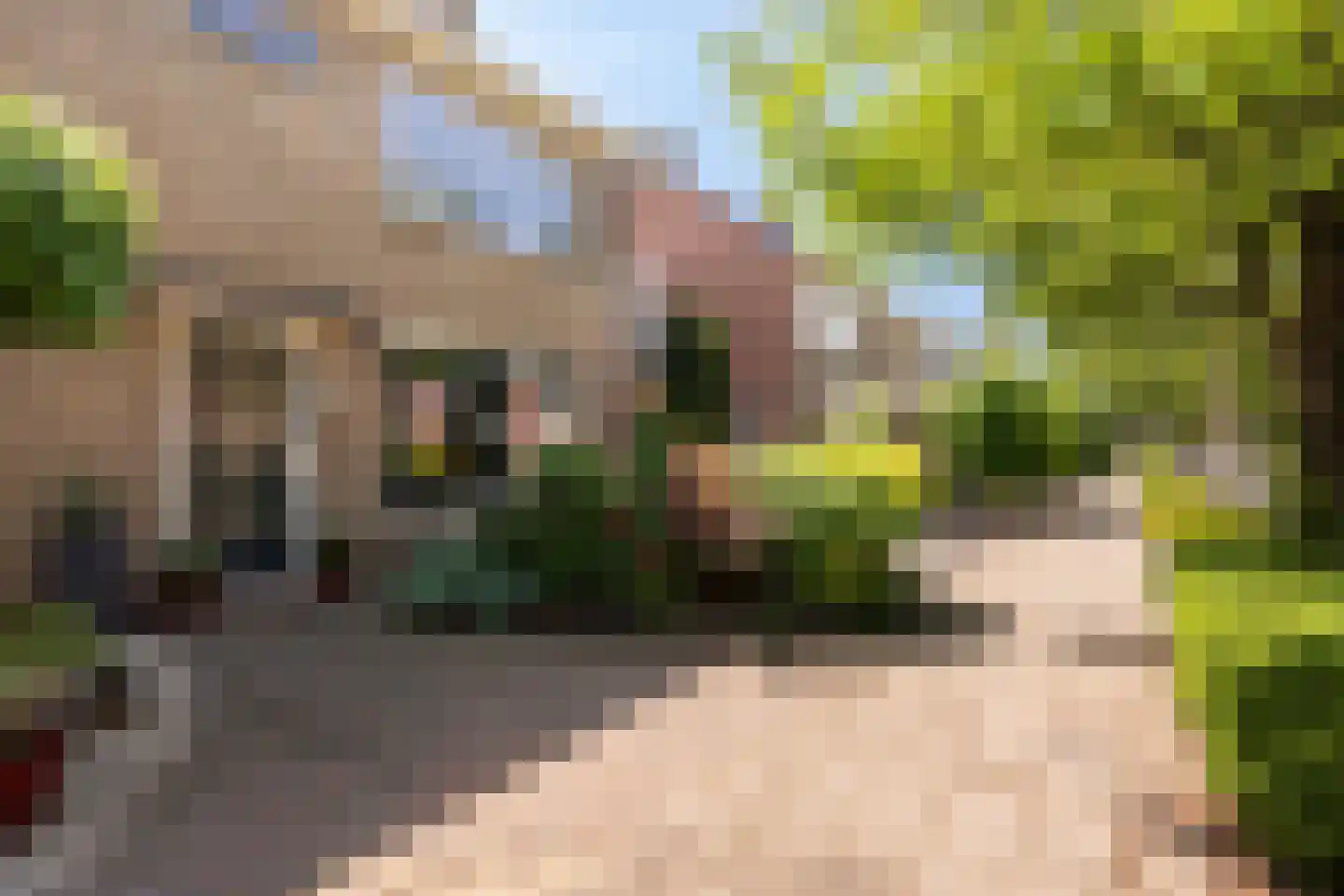 Laan 1940-1945 6 Woudenberg thumbnail 8