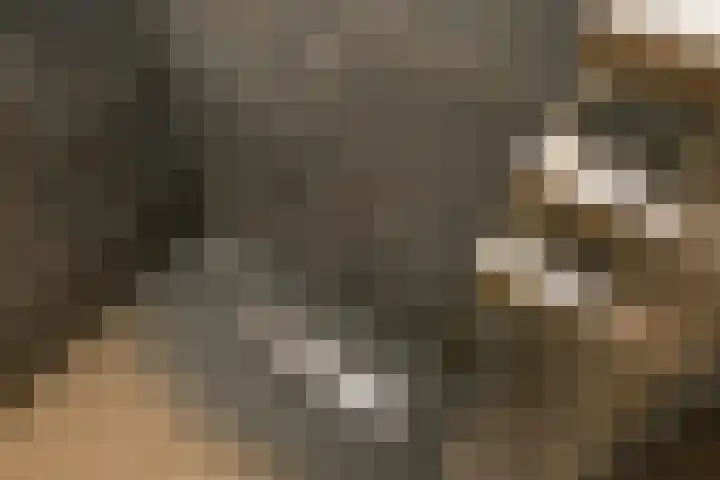 Laan 1940-1945 88 Meteren thumbnail 38