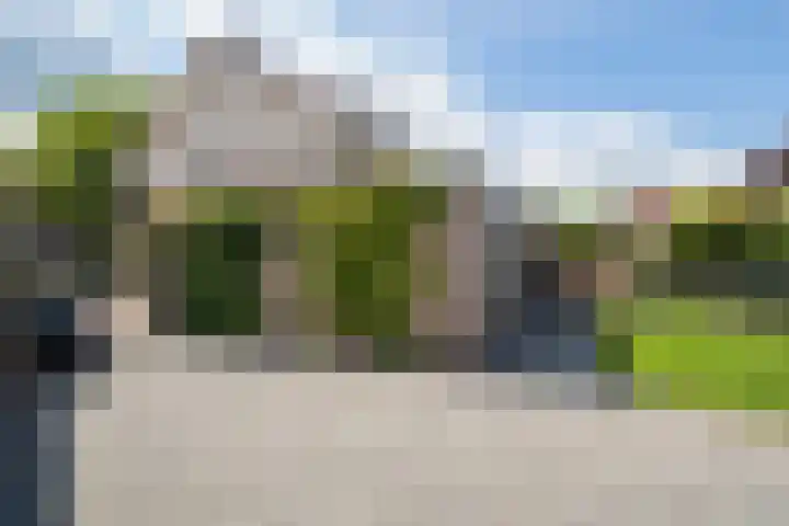 Laan 1940-1945 88 Meteren thumbnail 46
