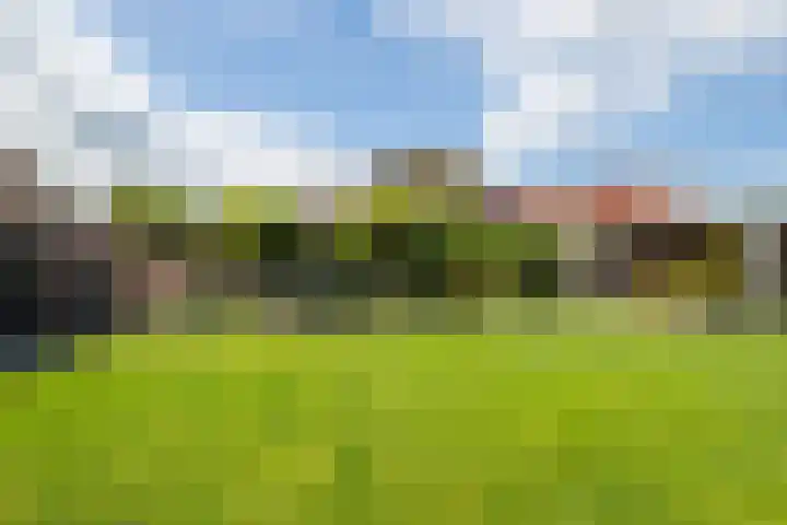 Laan 1940-1945 88 Meteren thumbnail 51