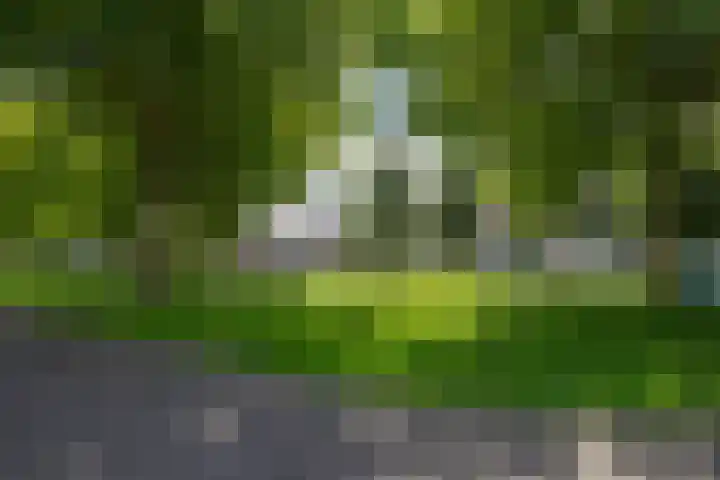 Laan 1940-1945 88 Meteren thumbnail 58