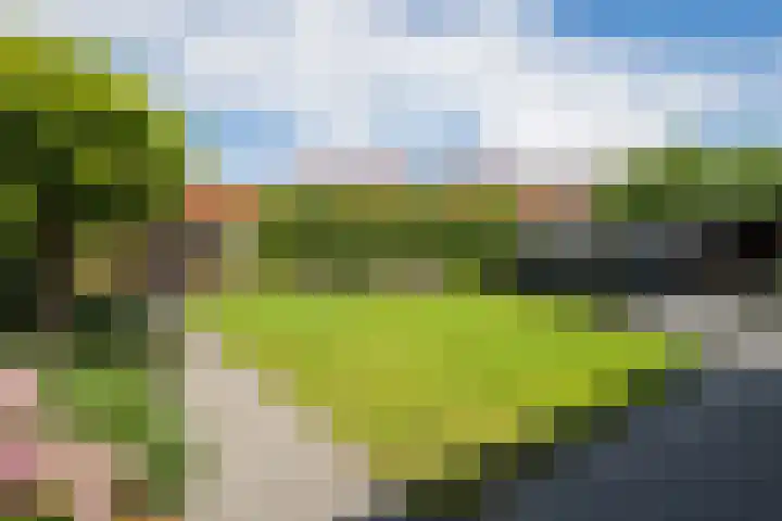 Laan 1940-1945 88 Meteren thumbnail 8