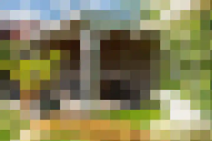 Laan 1940-1945 88 Meteren thumbnail 9