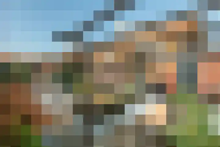 Laan 1940-1945 91 Meteren thumbnail 34