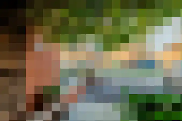 Laan 1940-1945 91 Meteren thumbnail 4
