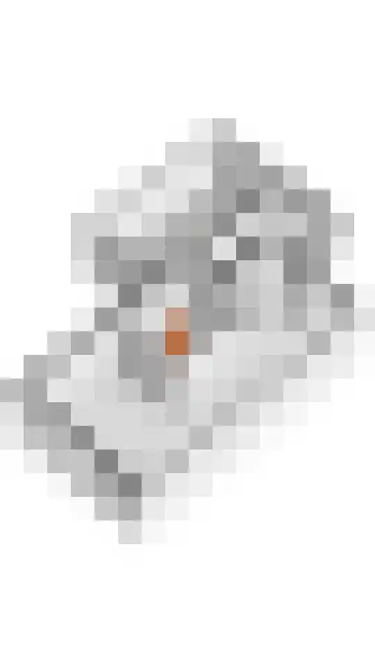 Laan 1940-1945 91 Meteren thumbnail 42