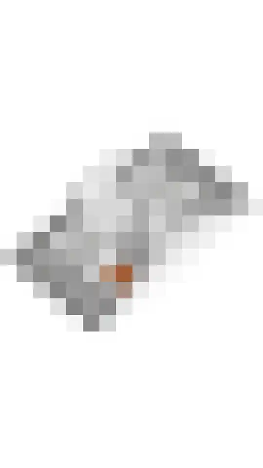 Laan 1940-1945 91 Meteren thumbnail 46