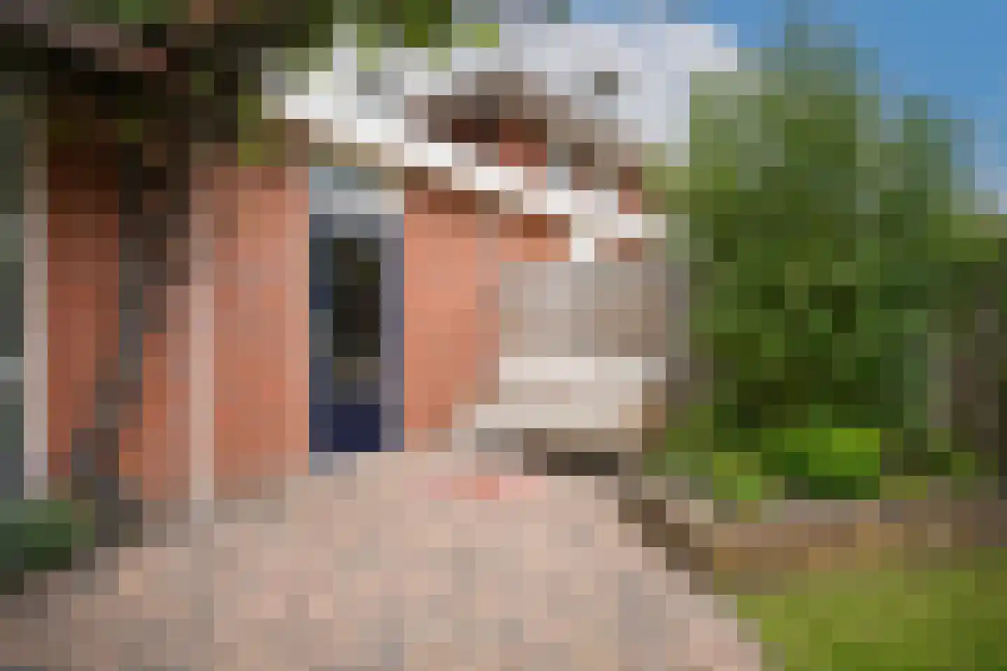 Laan 1940-1945 95 Meteren thumbnail 36