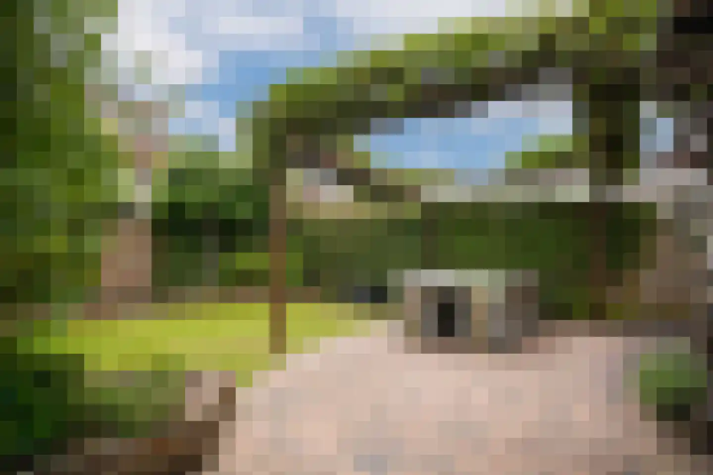 Laan 1940-1945 95 Meteren thumbnail 38
