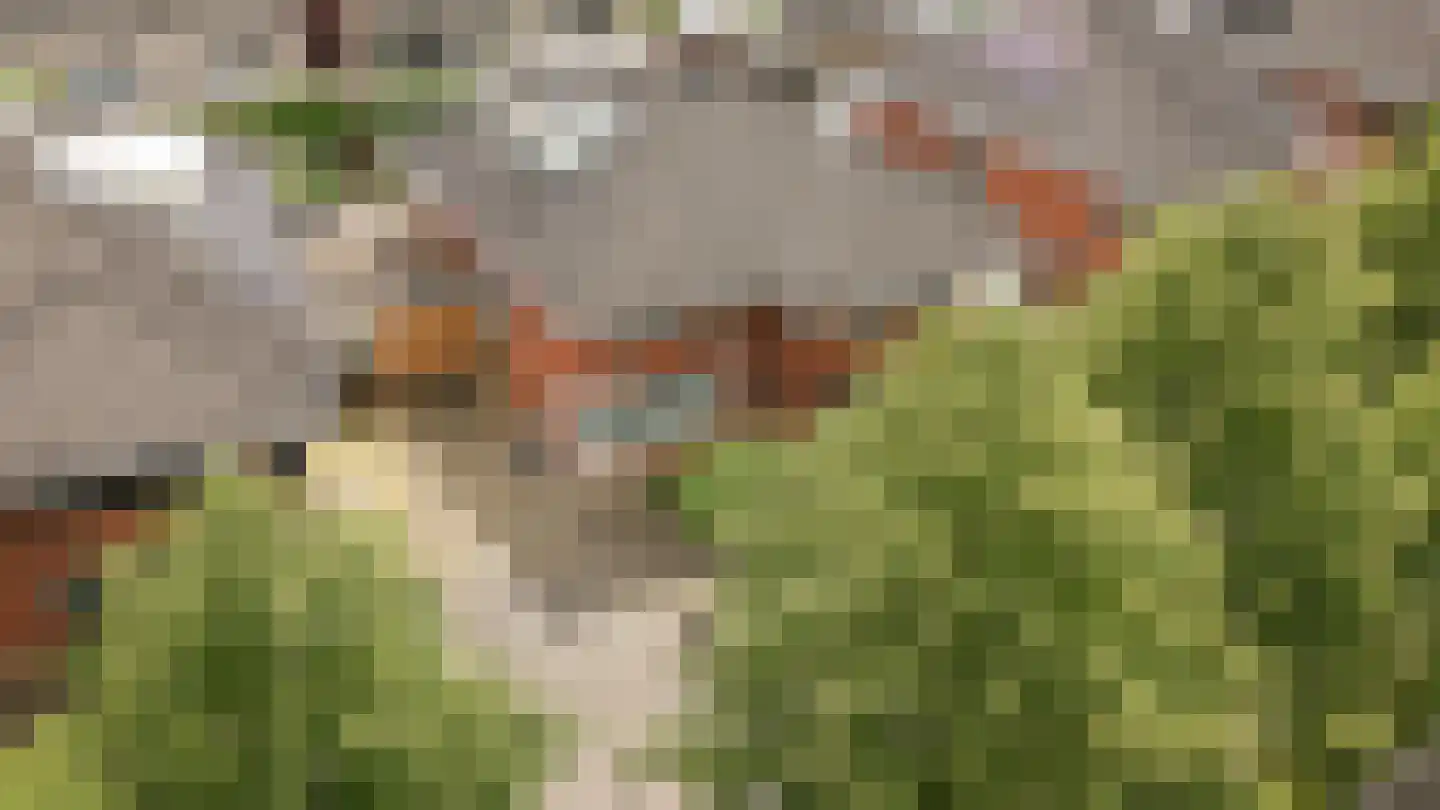 Laan 1940-1945 95 Meteren thumbnail 47