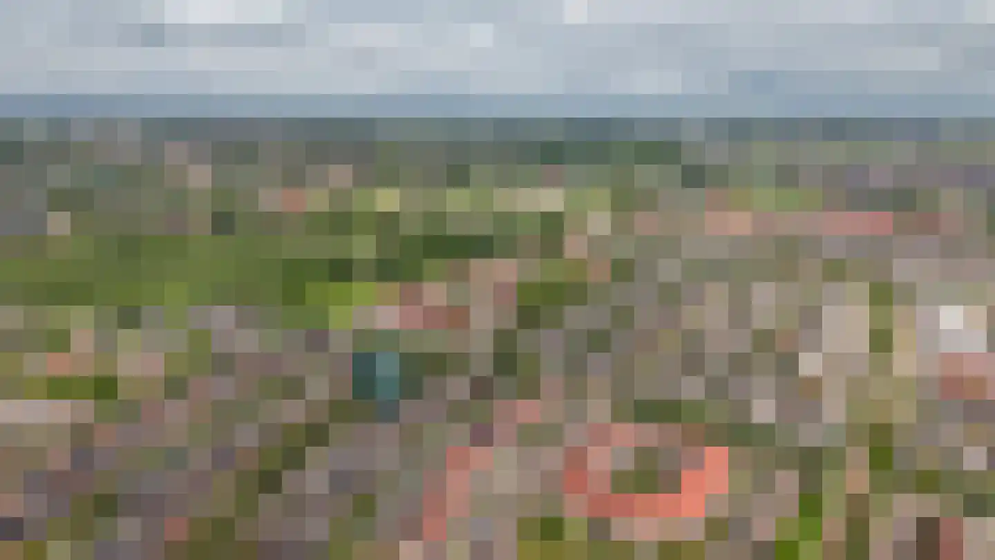 Laan 1940-1945 95 Meteren thumbnail 51