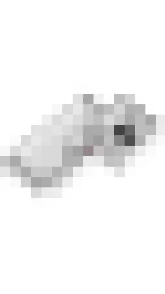 Laan 1940-1945 97 Meteren thumbnail 40