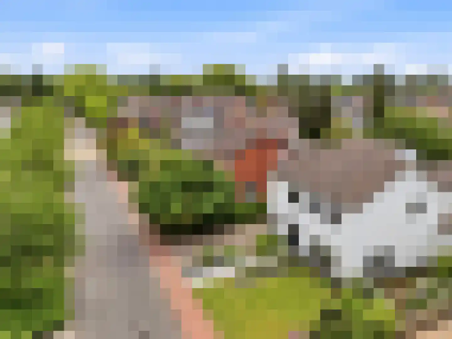 Laan 1940-'45 24 Warnsveld thumbnail 51