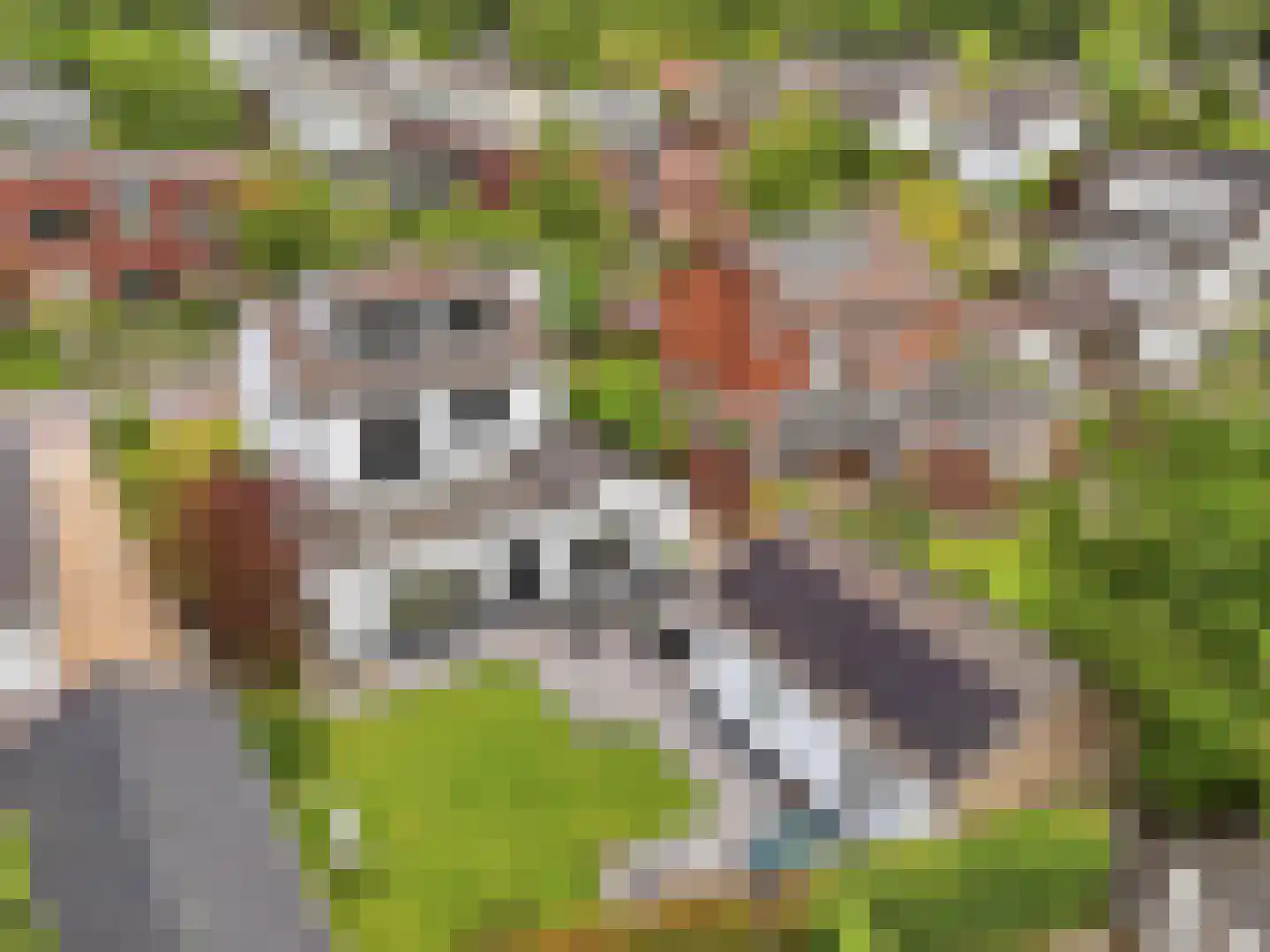 Laan 1940-'45 24 Warnsveld thumbnail 52