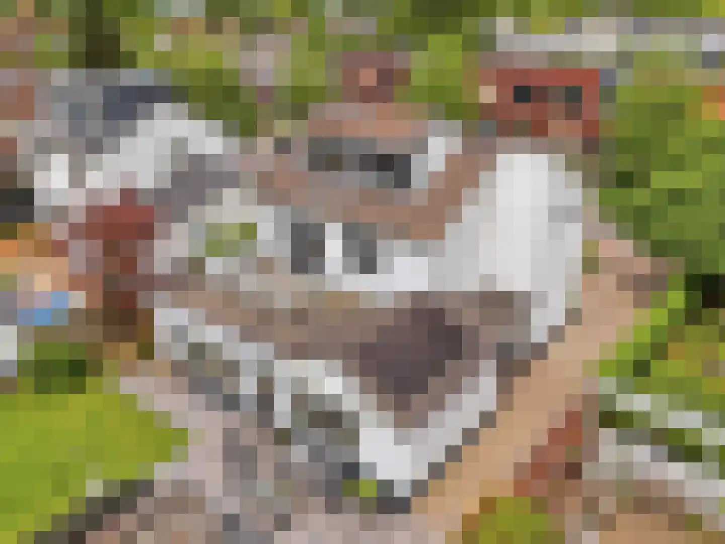 Laan 1940-'45 24 Warnsveld thumbnail 53