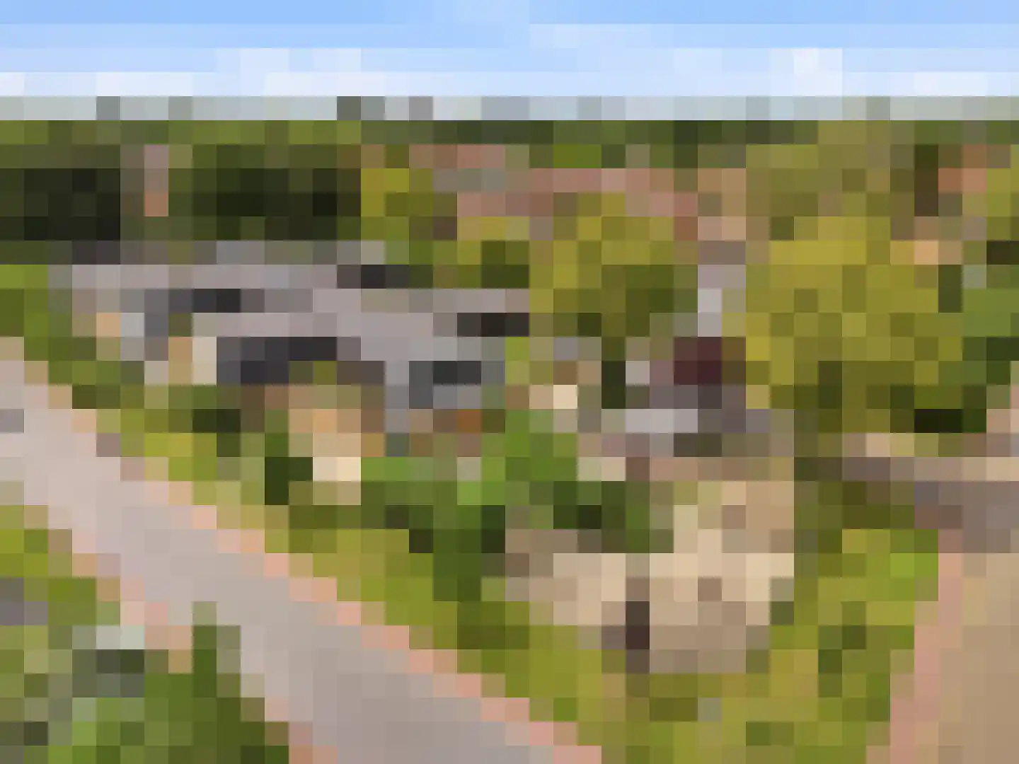 Laan 1940-'45 24 Warnsveld thumbnail 54
