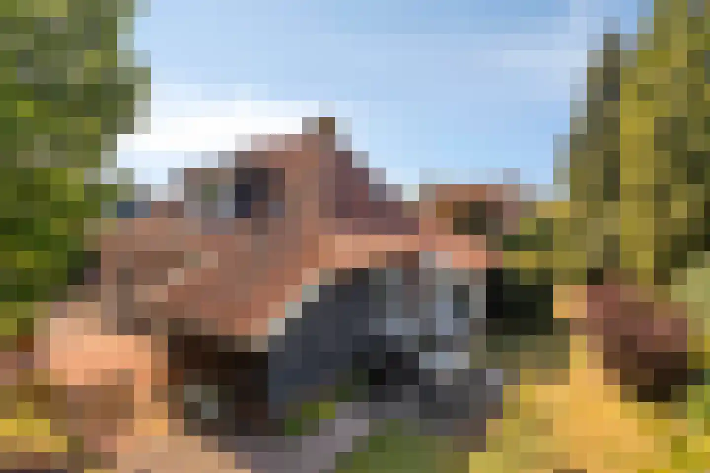 Laan 1940-'45 3 Warnsveld thumbnail 39