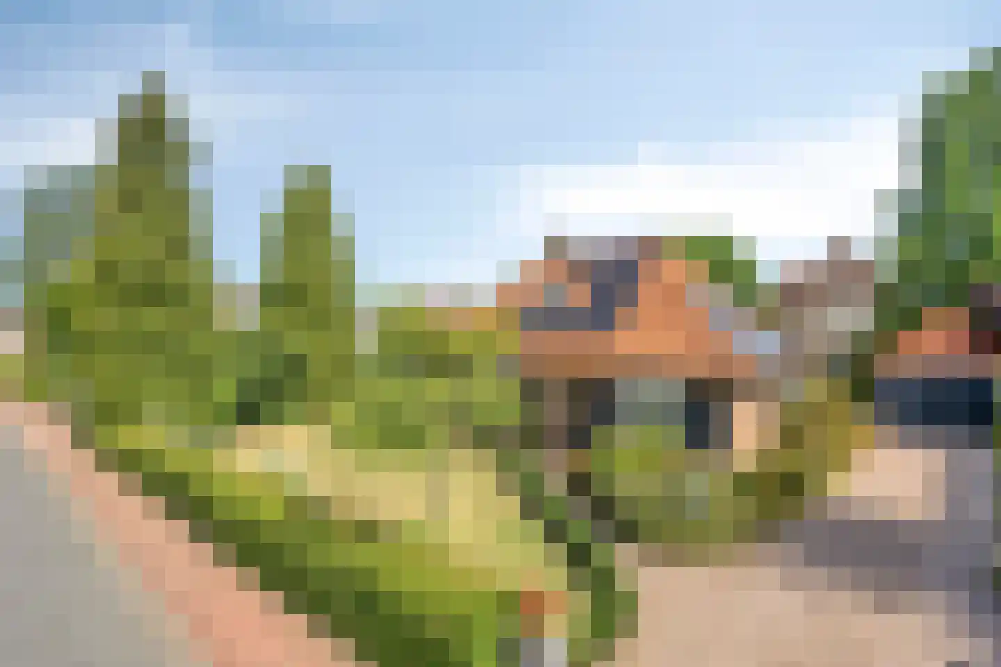 Laan 1940-'45 3 Warnsveld thumbnail 45
