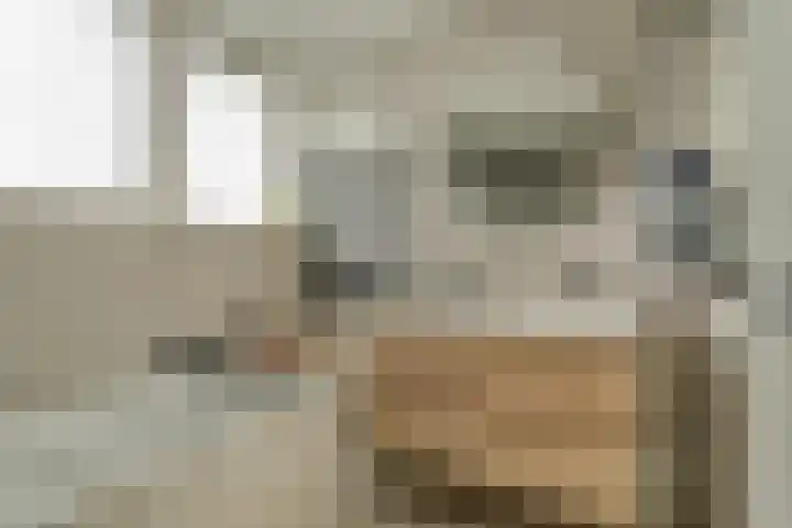 Laan 1945 1 Weurt thumbnail 30