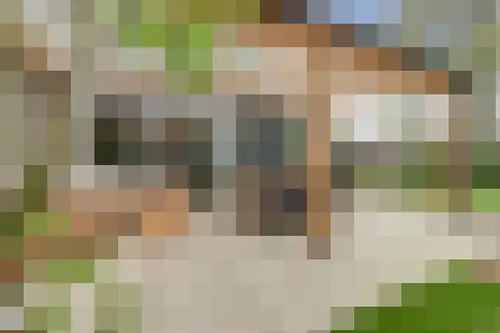 Laan 1945 1 Weurt thumbnail 44