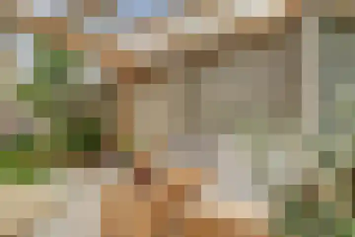 Laan 1945 1 Weurt thumbnail 46