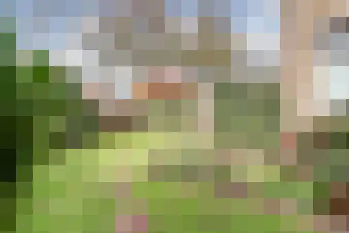 Laan 1945 1 Weurt thumbnail 57