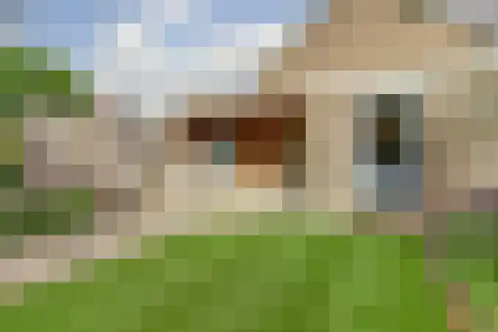 Laan 1945 1945 1 Weurt thumbnail 48