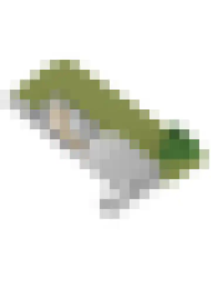 Laan 1945 1945 1 Weurt thumbnail 69