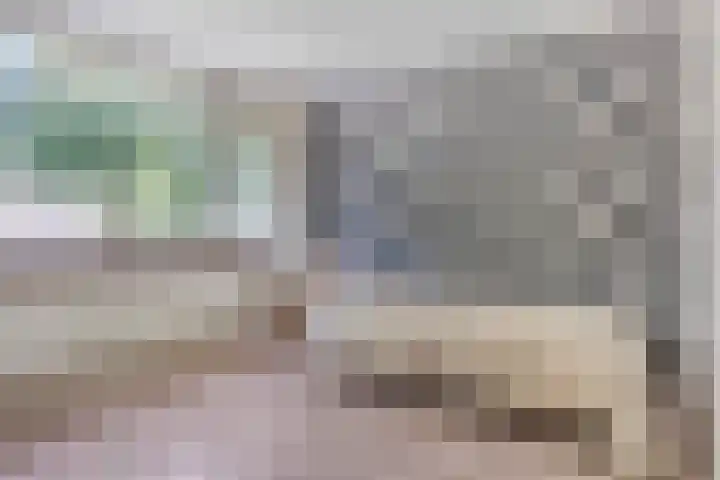 Laan 1954 13 De Meern thumbnail 17