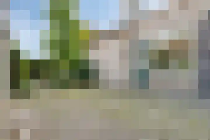 Laan 1954 16 De Meern thumbnail 10