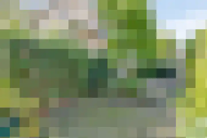 Laan 1954 16 De Meern thumbnail 11