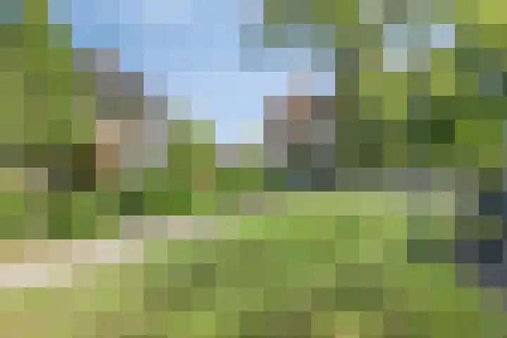 Laan 1954 16 De Meern thumbnail 27