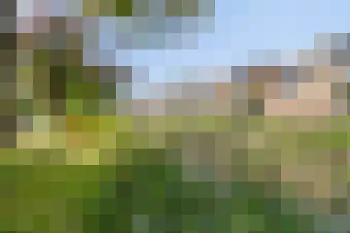 Laan 1954 16 De Meern thumbnail 29