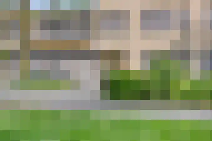 Laan 1954 1954 13 De Meern thumbnail 25