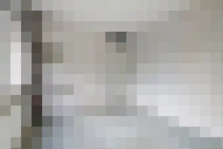 Laan 1954 1954 16 De Meern thumbnail 16