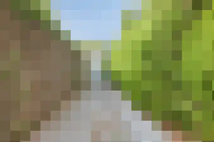 Laan 1954 1954 16 De Meern thumbnail 26