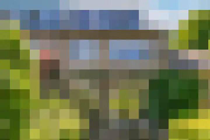 Laan 1954 1954 8 De Meern thumbnail 36