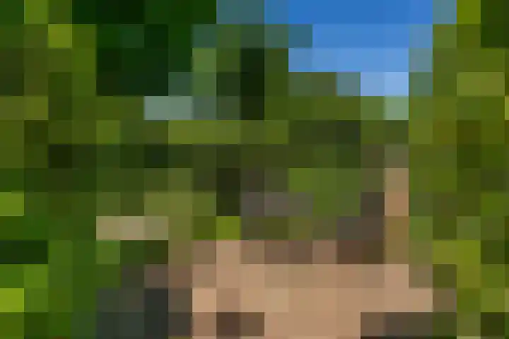 Laan 1954 1954 8 De Meern thumbnail 38