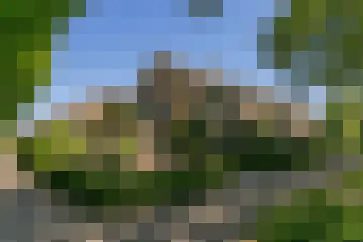 Laan 1954 1954 8 De Meern thumbnail 43
