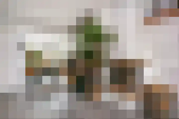 Laan 1954 37 De Meern thumbnail 12