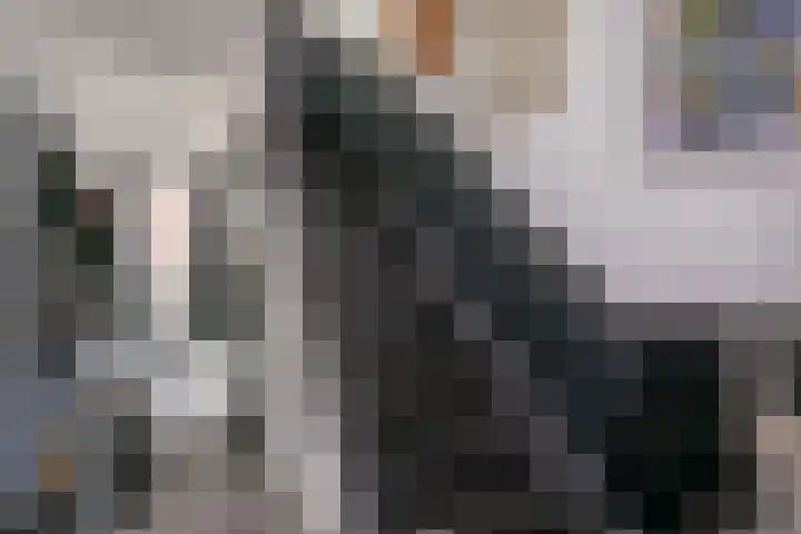 Laan 1954 37 De Meern thumbnail 19
