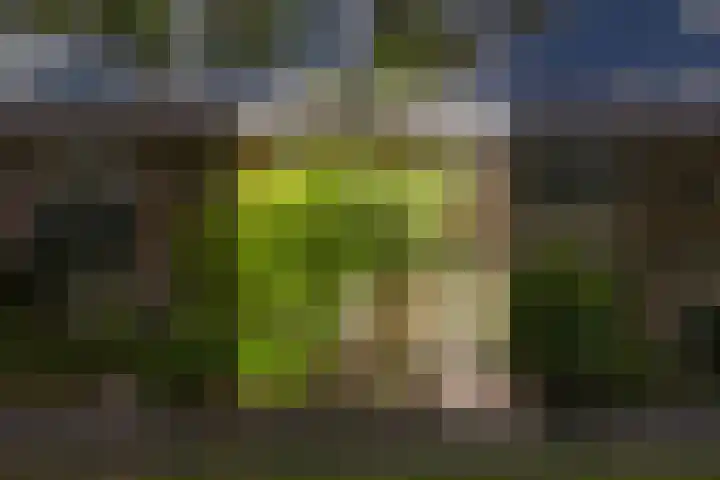 Laan 1954 37 De Meern foto 3