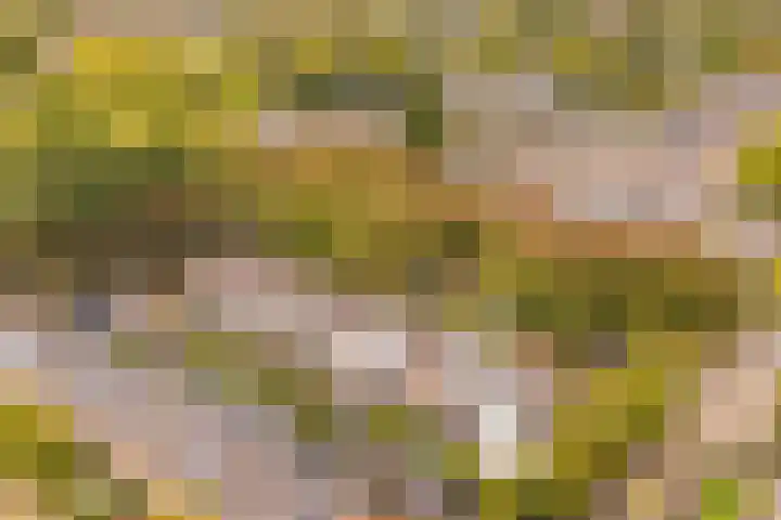 Laan 1954 37 De Meern thumbnail 40