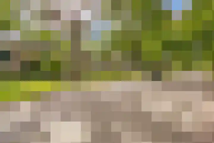 Laan 1954 37 De Meern thumbnail 5