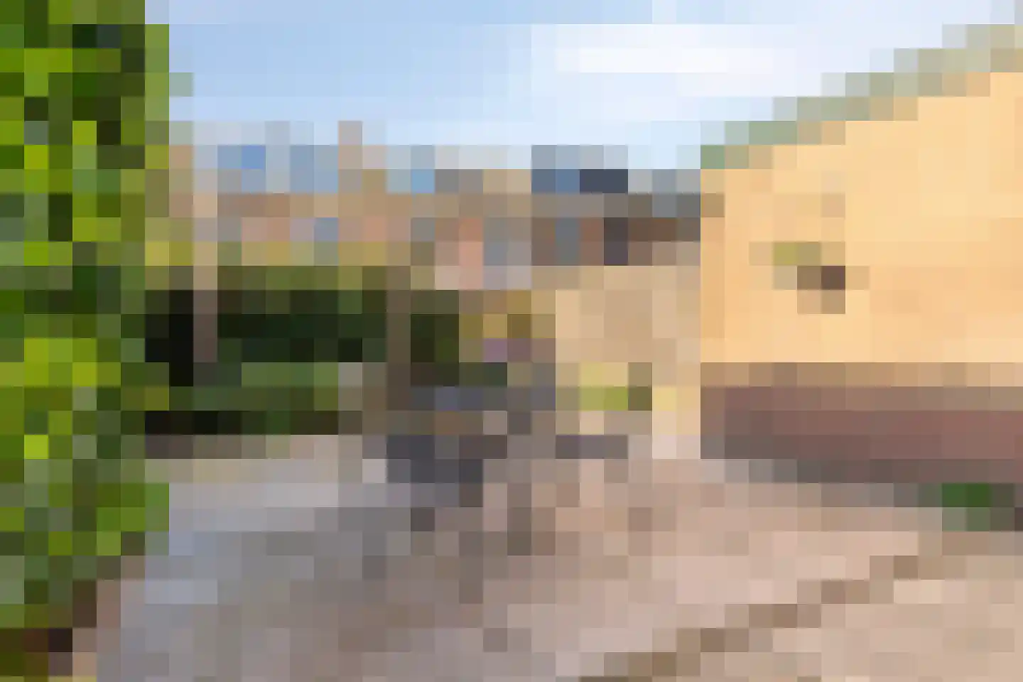 Laan 1954 39 De Meern thumbnail 15
