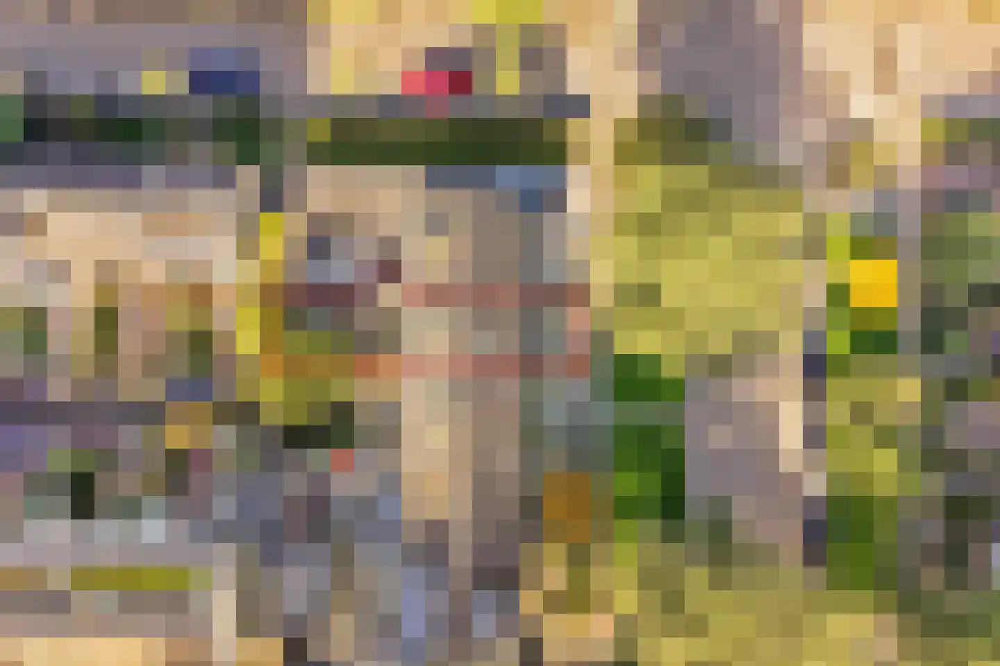 Laan 1954 53 De Meern thumbnail 26